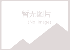 合山凌雪建设有限公司